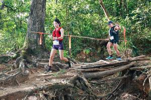 BIB: 
                            <button type="button" onclick="openModal(27556297)" class="btn btn-primary btn-sm float-right btn-popup" data-toggle="modal" data-target=".modal-high-quality">
                        <i class="fas fa-shopping-cart"></i> Add to Cart
                    </button>
                                            <button type="button" onclick="isThisMe(27556297, true)" class="btn btn-success btn-sm float-right btn-popup btn-isme hidden" data-toggle="tooltip" data-placement="bottom" title="นี่คือรูปของคุณใช่ไหม คลิกที่นี่เพื่อเอาเข้าอัลบั้ม">
                        <i class="fas fa-plus"></i> Add to album
                    </button>
                    <button type="button" onclick="isThisMe(27556297, false)" class="btn btn-warning btn-sm float-right btn-popup btn-isnotme hidden">
                        <i class="fas fa-ban"></i> Remove from album
                    </button>